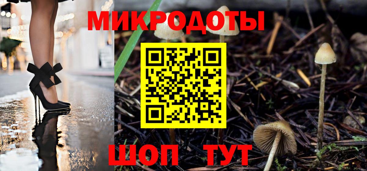 Псилоцибиновые грибы MAGIC MUSHROOMS Рославль
